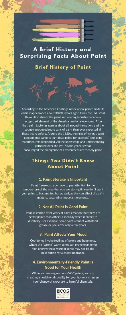 a brief history and surprising facts about paint infographic